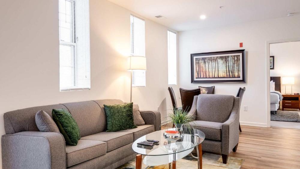 Gorgeous Apt with Kitchen